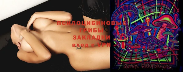 винт Алексеевка