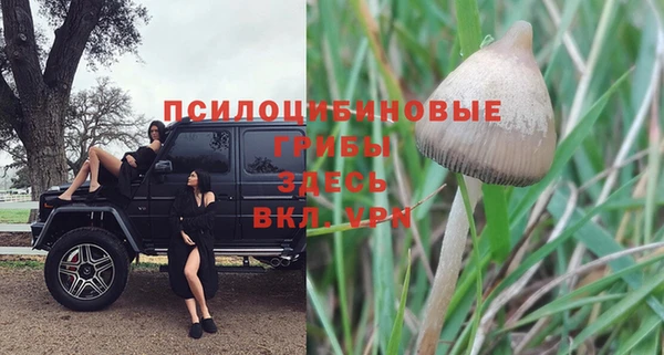 гидропоника Алексин