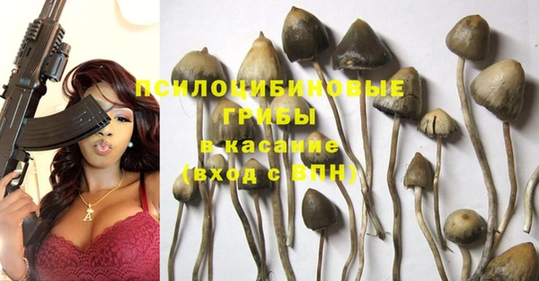 не бодяженный Алзамай