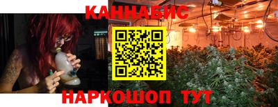 стафф Новозыбков