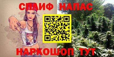 стафф Новозыбков