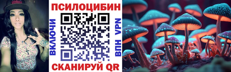 Псилоцибиновые грибы Psilocybine cubensis  цена   дарк нет формула  Самара 