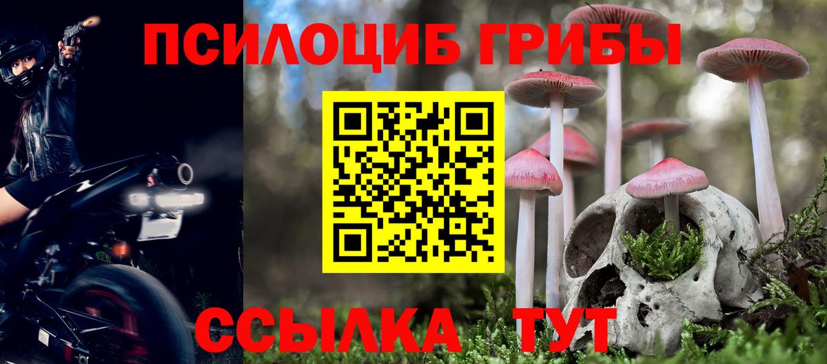 Самара  Псилоцибиновые грибы мицелий  Вход с VPN 